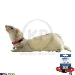 Marshall Pet Products Ferret Bell Collar Red 3/8-in
