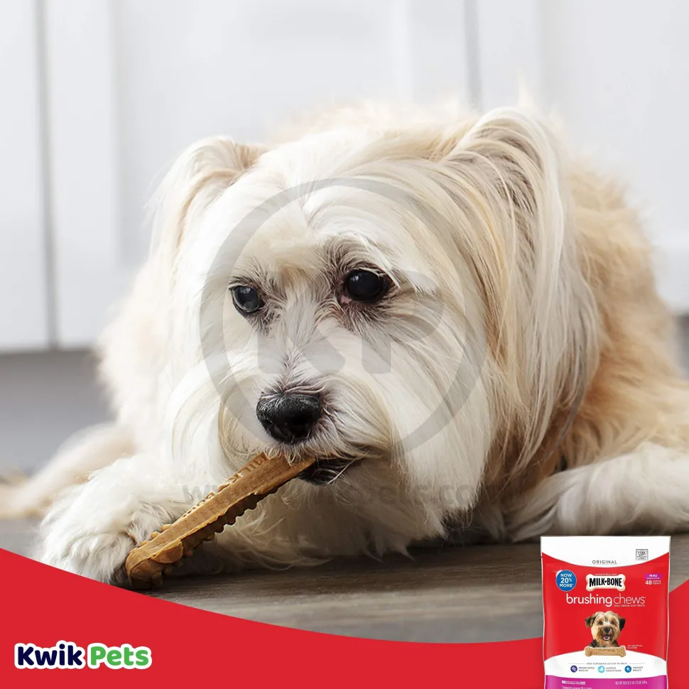 Milk-Bone Brushing Chews Dental Dog Treat Original Extra Small 5-24 lbs 48 Count 18.9-oz