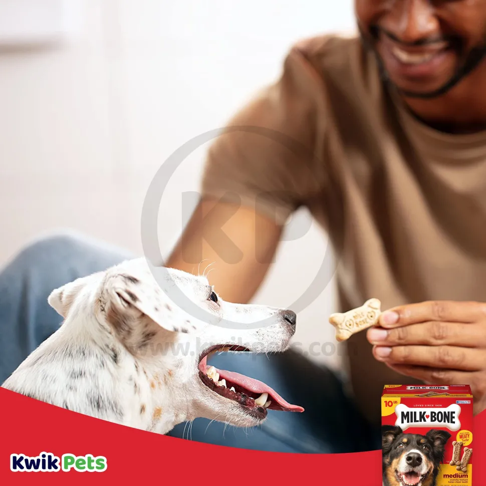 Milk-Bone Dog Biscuits Original Medium 10-lb