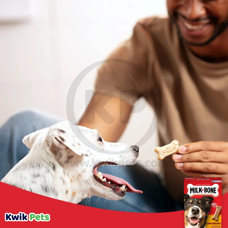 Milk-Bone Dog Biscuits Original Medium 24-oz