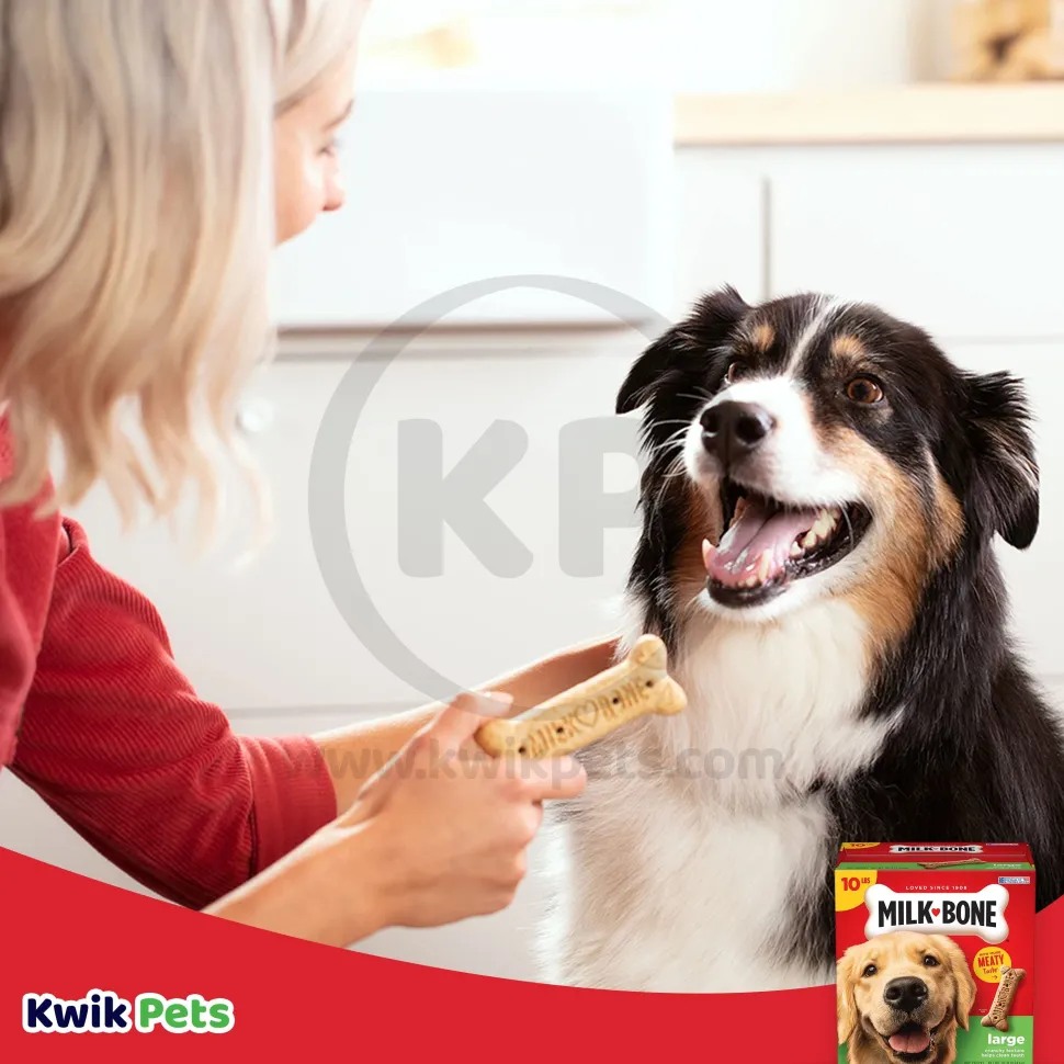 Milk-Bone Dog Biscuits Original Large 10-lb