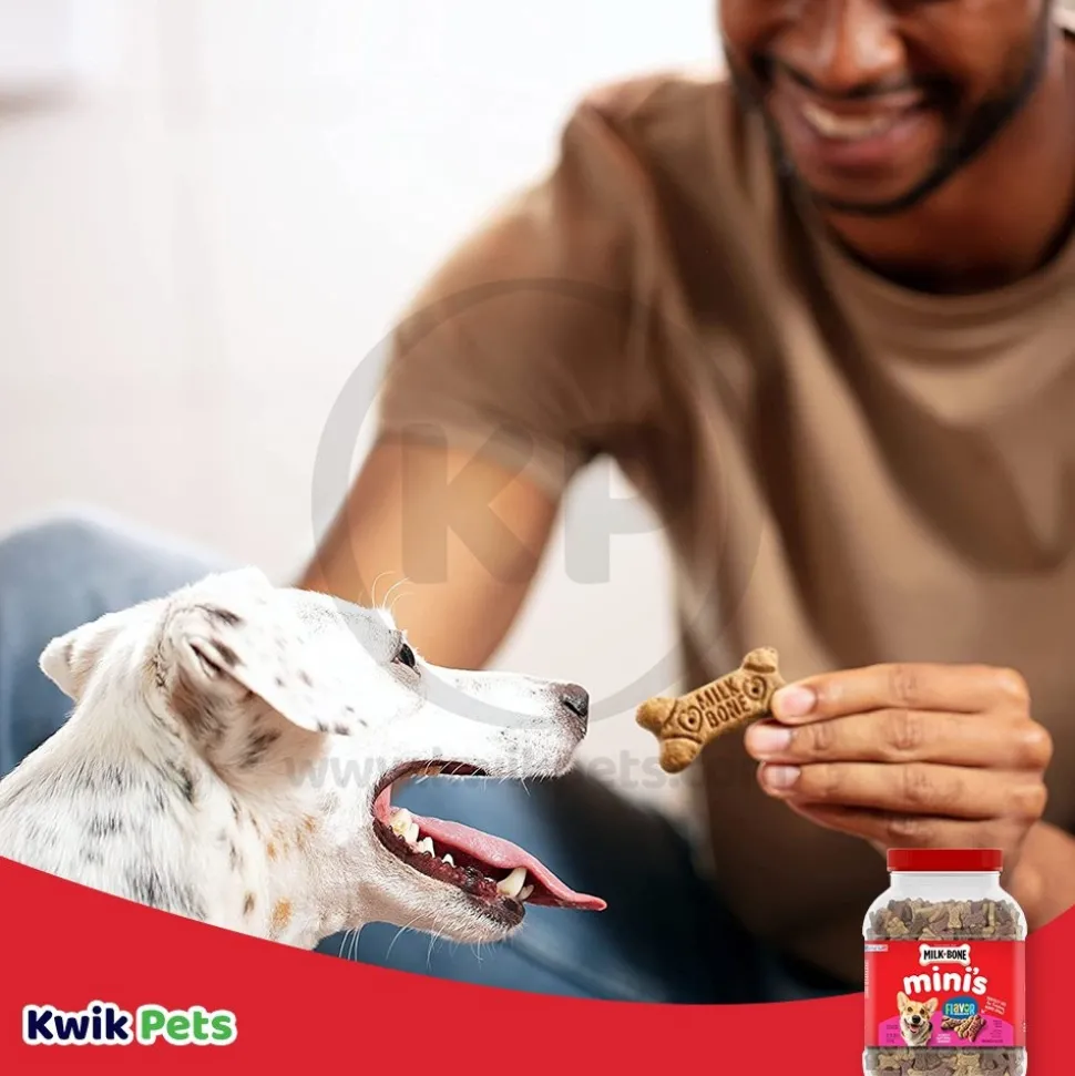 Milk-Bone Flavor Snacks Dog Treats Mini 36-oz