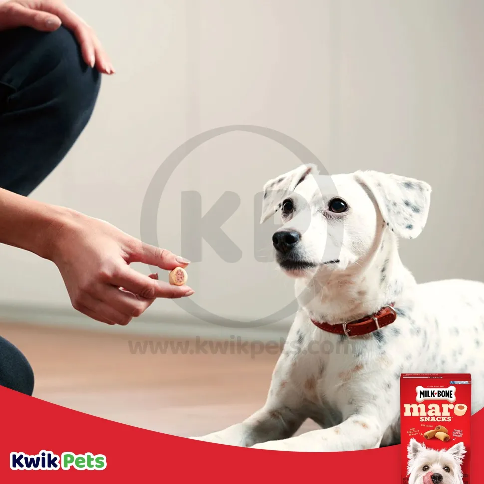 Milk-Bone MaroSnacks Dog Treats 15-oz