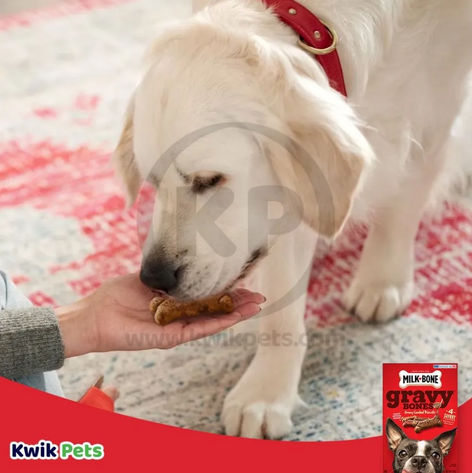 Milk-Bone 4 Meaty Flavors GravyBones Dog Treats Small 19-oz