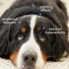 Native Pet Anxiety & Calming Chews Supplement for Dogs 30 Count