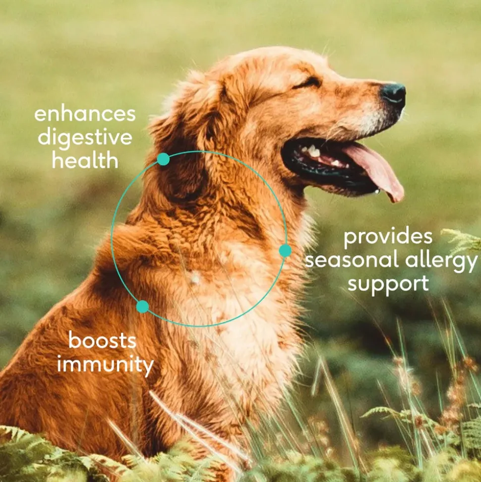 Native Pet Colostrum Immune System Powder Supplement for Dogs 2.2-oz