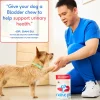 Native Pet Cranberry Bladder Chews Kidney & Urinary Supplement for Dogs 30 Count