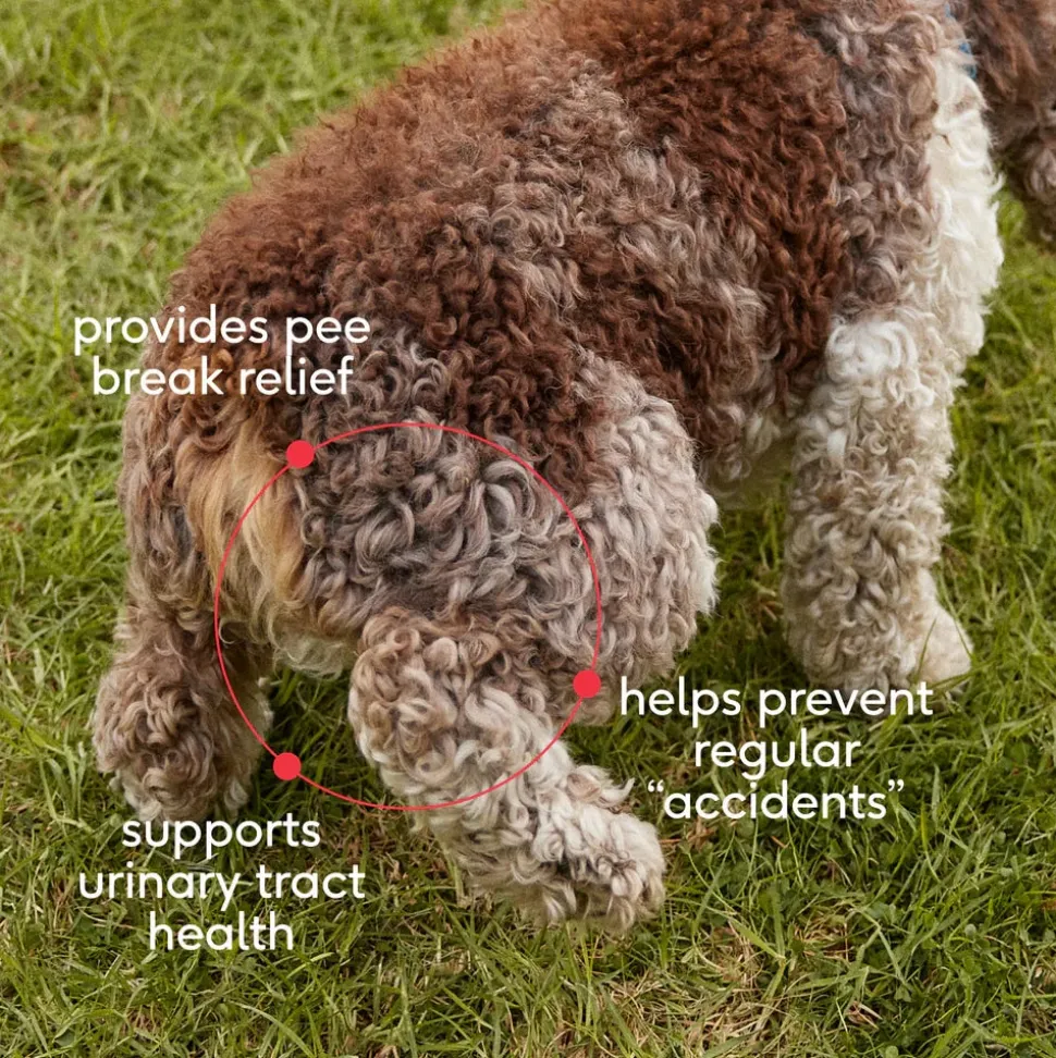 Native Pet Cranberry Bladder Chews Kidney & Urinary Supplement for Dogs 30 Count