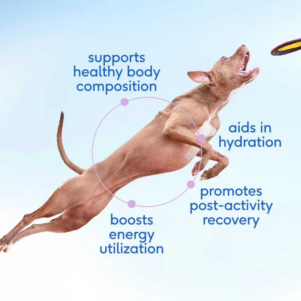 Native Pet Goat Milk Powder Recovery & Energy Support for Active Dogs 7-oz
