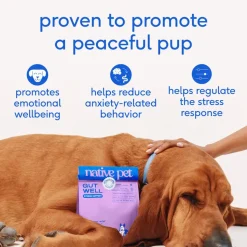 Native Pet GutWell Stress Support Anxiety Relief & Calming Supplement for Dogs 12.7-oz