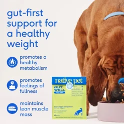 Native Pet GutWell Trim Down Weight Management & Metabolic Health Supplement for Dogs 12.7-oz