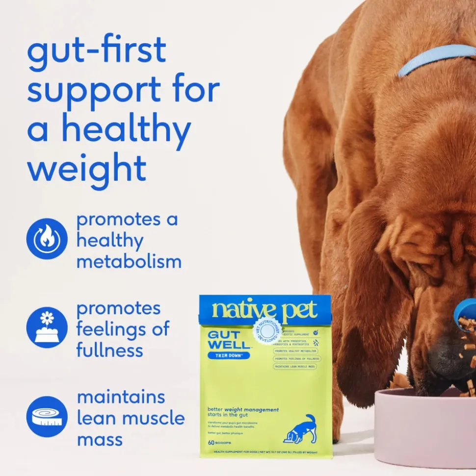 Native Pet GutWell Trim Down Weight Management & Metabolic Health Supplement for Dogs 12.7-oz