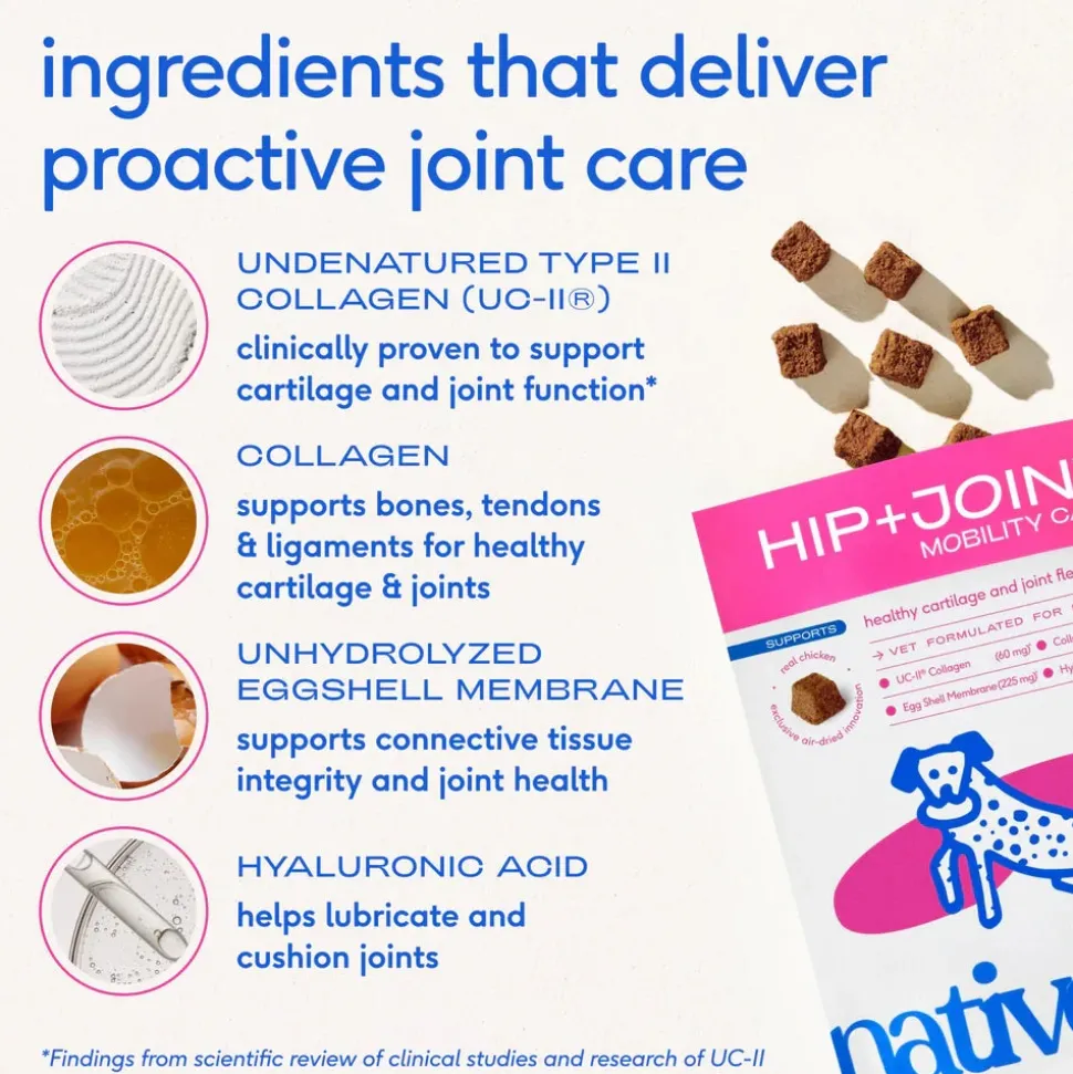 Native Pet Hip & Joint Mobility Care Chews for Dogs 60 Count