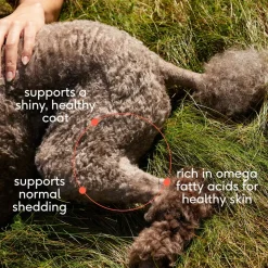 Native Pet Omega-3 Fish Oil & Alaskan Salmon Oil Skin & Coat Health Supplement for Dogs 8-oz