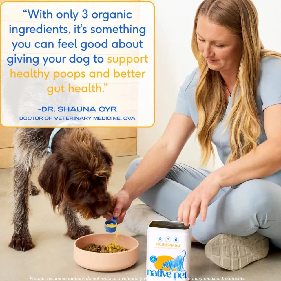 Native Pet Organic Pumpkin Fiber Powder Digestive Supplement for Dogs 8-oz