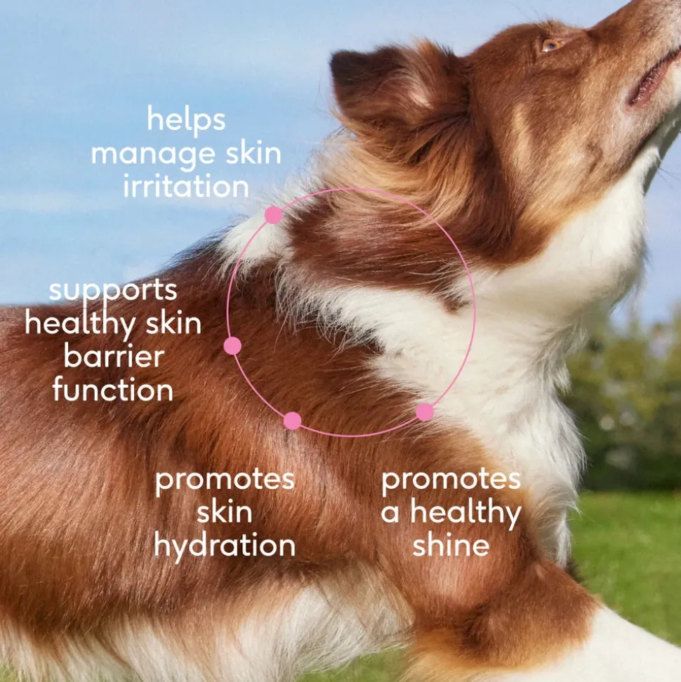 Native Pet Skin & Coat Chews Supplement for Dogs 30 Count