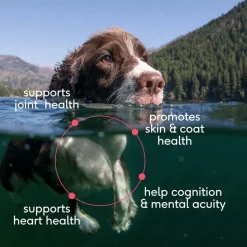 Native Pet Sockeye Salmon Wild-Caught Alaskan Oil Skin Heart Joint Health Liquid Supplement for Dogs 8-oz