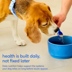 Native Pet The Daily Powder 11-in-1 Supplement for Dogs 7-oz