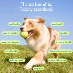 Native Pet The Daily Powder 11-in-1 Supplement for Dogs 7-oz