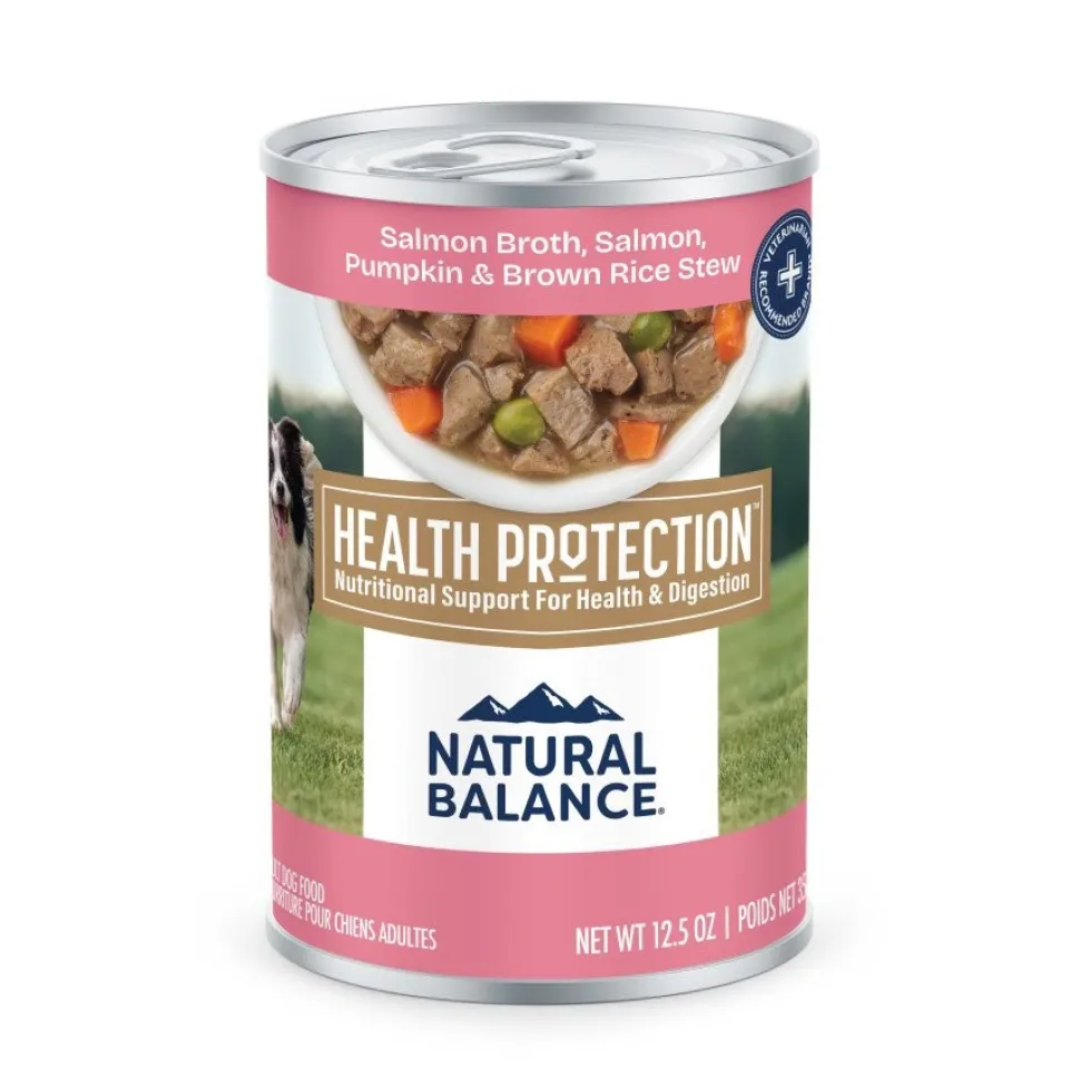 Natural Balance Health Protection Adult Wet Dog Food Salmon Broth, Salmon, Pumpkin & Brown Rice Stew 12.5-oz