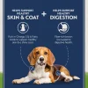Natural Balance Pet Foods L.I.D Plant Powered Vegan-Friendly Vegetarian Recipe Dry Dog Food 4-lb
