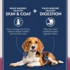 Natural Balance Pet Foods Limited Ingredient Reserve Grain Free Adult Dry Dog Food Sweet Potato & Venison 22-lb