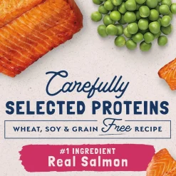 Natural Balance Pet Foods Limited Ingredient Grain Free Dry Cat Food Green Pea & Salmon 4-lb