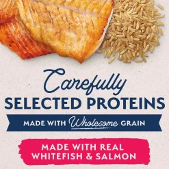 Natural Balance Pet Foods Limited Ingredient Canned Dog Food Whitefish Brown Rice & Salmon 13-oz