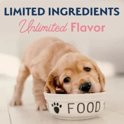 Natural Balance Pet Foods Limited Ingredient Puppy Dry Food Salmon & Brown Rice 24-lb
