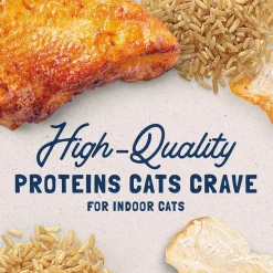 Natural Balance Pet Foods Original Ultra Indoor Canned Cat Food Chicken Formula 5.5-oz