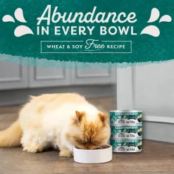Natural Balance Pet Foods Original Ultra Indoor Canned Cat Food Chicken Formula 5.5-oz