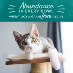 Natural Balance Pet Foods Original Ultra Broth Coated Indoor Grain Free Dry Cat Food Chicken & Salmon 6-lb