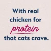 Natural Balance Pet Foods Original Ultra Broth Coated Dry Cat Food Chicken & Salmon 6-lb