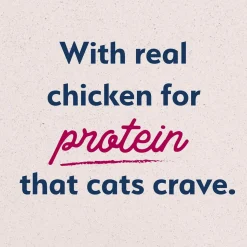 Natural Balance Pet Foods Original Ultra Broth Coated Dry Cat Food Chicken & Salmon 6-lb
