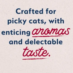 Natural Balance Pet Foods Original Ultra Canned Cat Food Salmon 5.5-oz