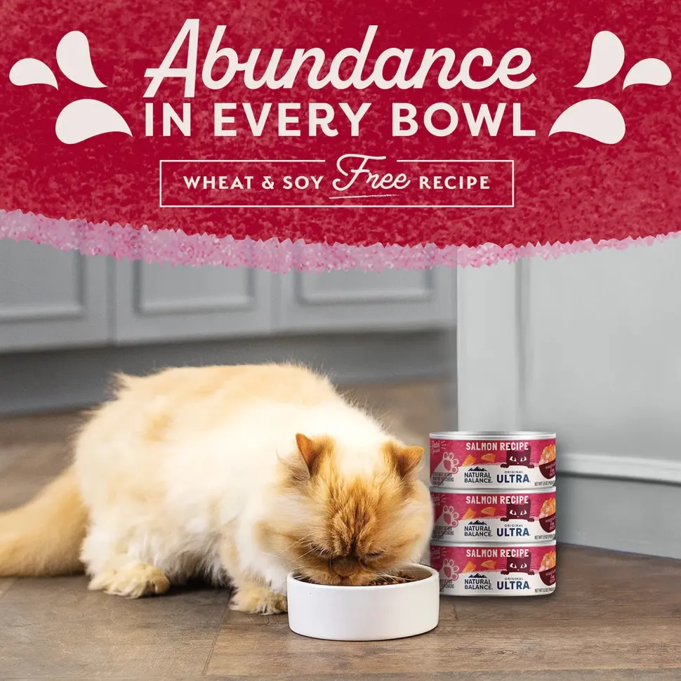 Natural Balance Pet Foods Original Ultra Canned Cat Food Salmon 5.5-oz
