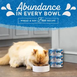 Natural Balance Pet Foods Original Ultra Canned Cat Food Ocean Fish 5.5-oz