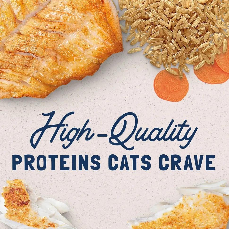 Natural Balance Pet Foods Original Ultra Canned Cat Food Ocean Fish 5.5-oz