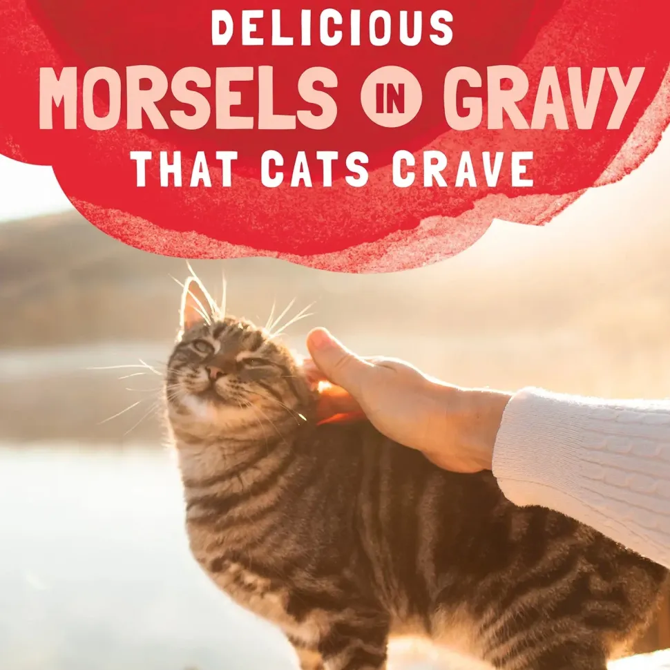 Natural Balance Pet Foods Original Ultra Platefulls Morsels in Gravy Wet Cat Food Salmon Tuna & Crab 3-oz