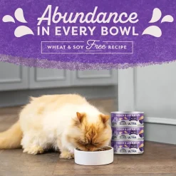 Natural Balance Pet Foods Original Ultra Canned Cat Food Chicken & Liver 5.5-oz