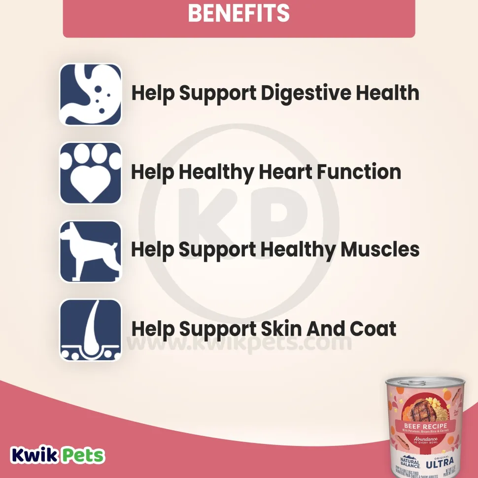 Natural Balance Pet Foods Original Ultra Abundance Canned Dog Food Beef 13-oz