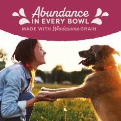 Natural Balance Pet Foods Original Ultra Fat Dogs Canned Dog Food Chicken & Salmon 13-oz