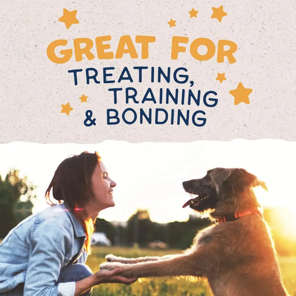 Natural Balance Pet Foods Rewards Jumpin' Stix Soft & Meaty Dog Treats Duck 10-oz