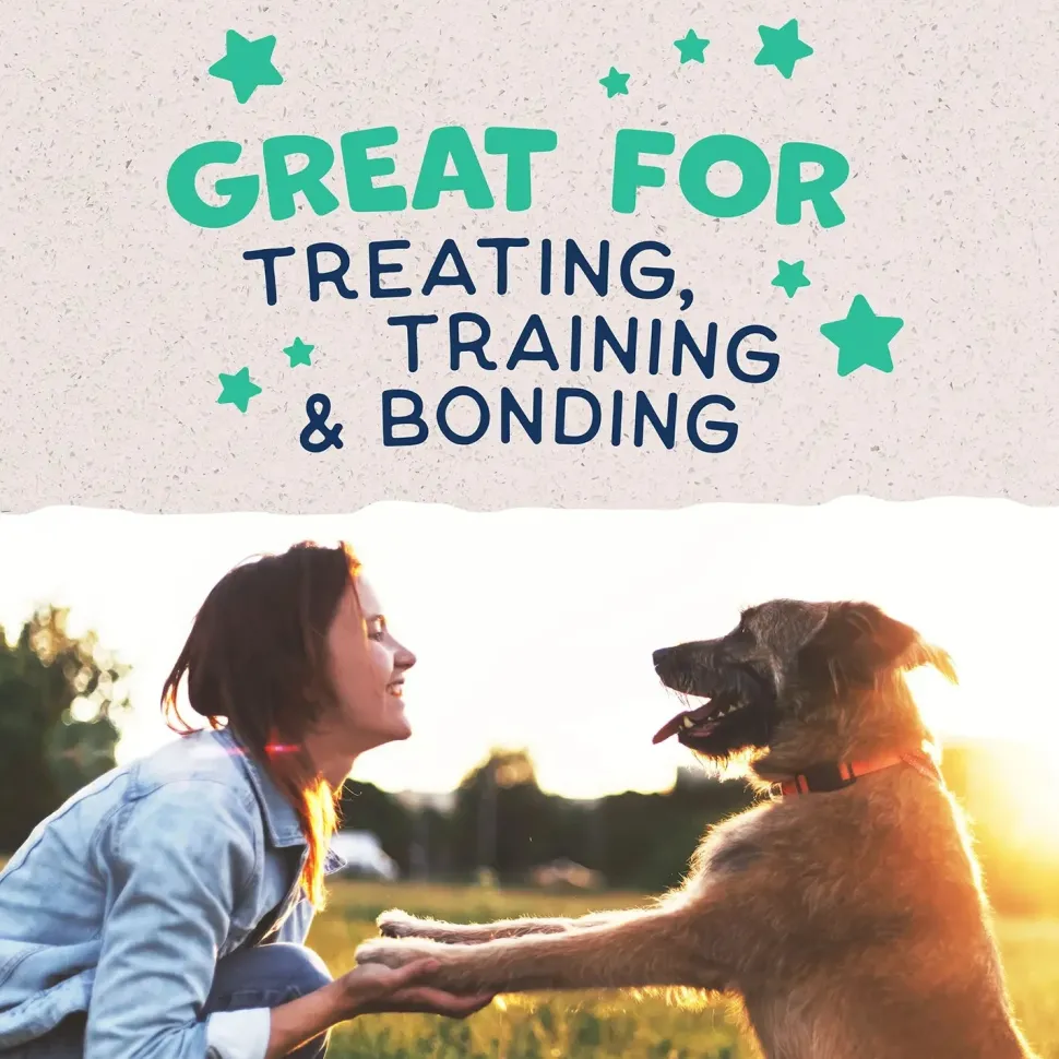 Natural Balance Pet Foods Rewards Jumpin' Stix Soft & Meaty Dog Treats Chicken 10-oz