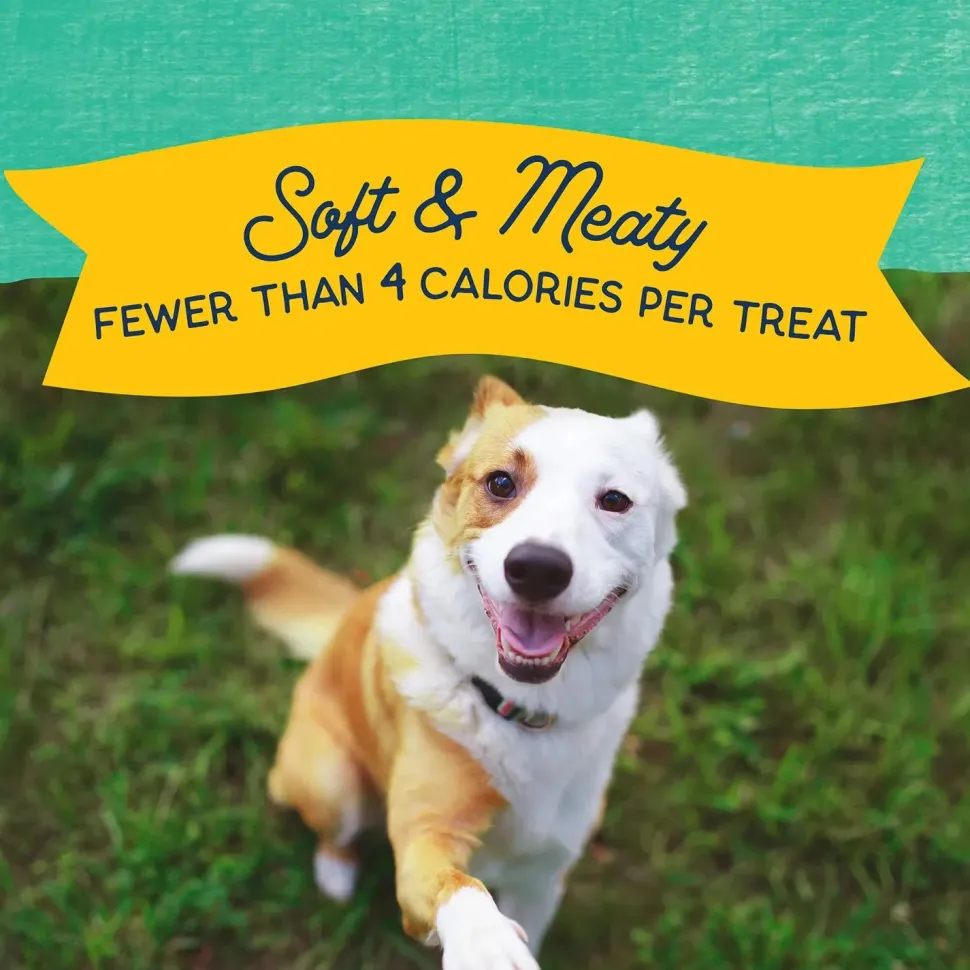 Natural Balance Pet Foods Rewards Minis Soft & Meaty Dog Treats Chicken 5.3-oz