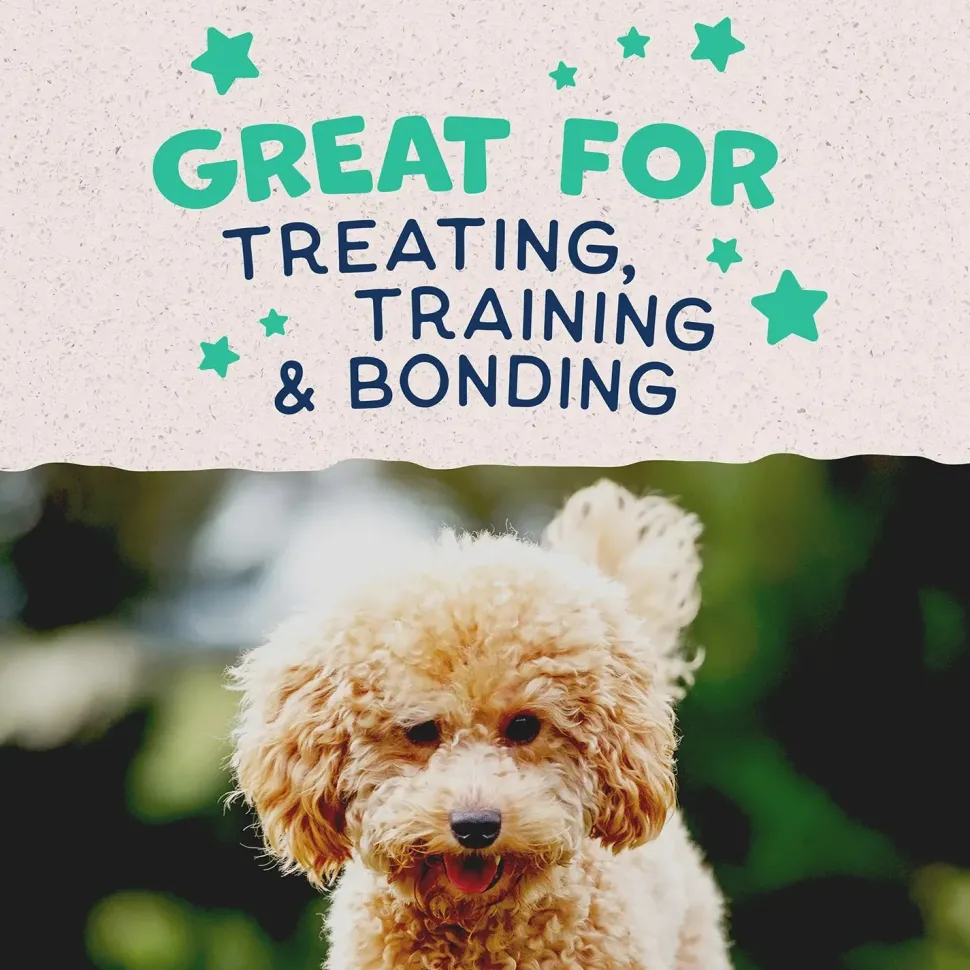 Natural Balance Pet Foods Rewards Minis Soft & Meaty Dog Treats Chicken 5.3-oz
