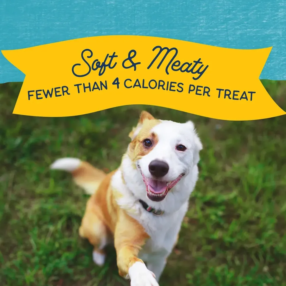 Natural Balance Pet Foods Rewards Minis Soft & Meaty Dog Treats Turkey 5.3-oz