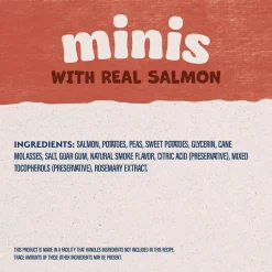 Natural Balance Pet Foods Rewards Minis Soft & Meaty Dog Treats Salmon 5.3-oz