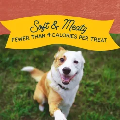Natural Balance Pet Foods Rewards Minis Soft & Meaty Dog Treats Salmon 5.3-oz