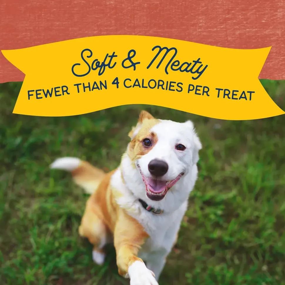 Natural Balance Pet Foods Rewards Minis Soft & Meaty Dog Treats Salmon 5.3-oz